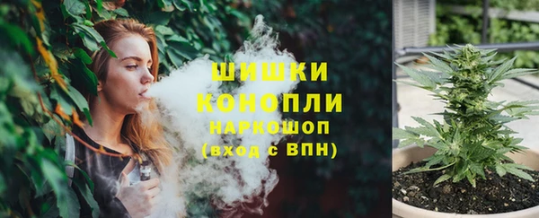 стафф Кулебаки