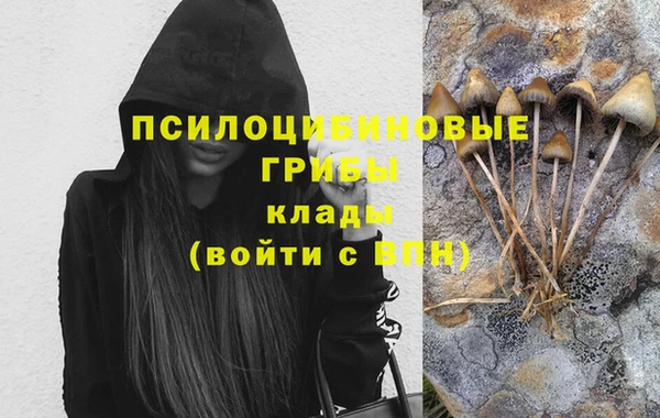 стафф Кулебаки