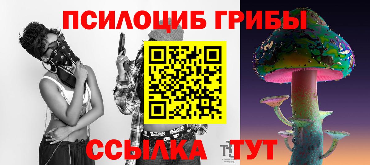 Галлюциногенные грибы Cubensis  Вход с VPN  Первоуральск 