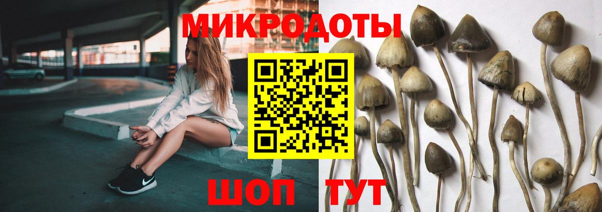 Псилоцибиновые грибы Cubensis Первоуральск