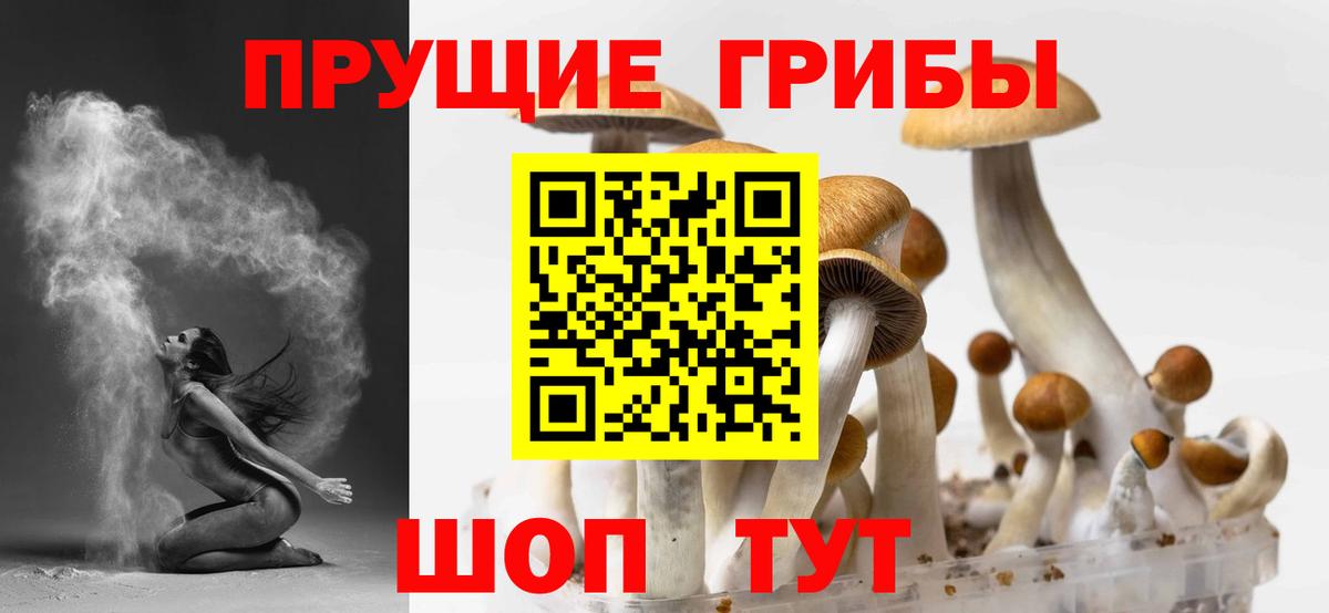 Первоуральск  Галлюциногенные грибы ЛСД  Вход с VPN 